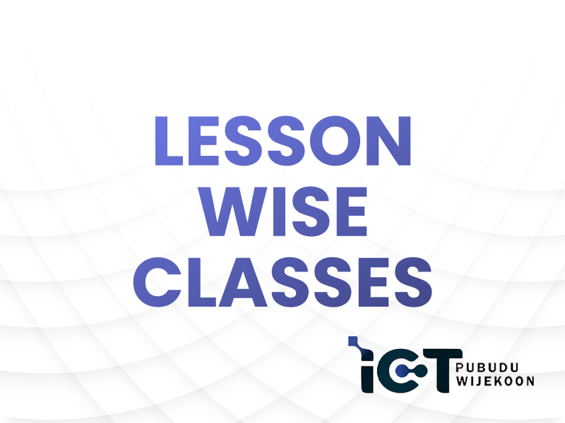 Lesson Wise Classes